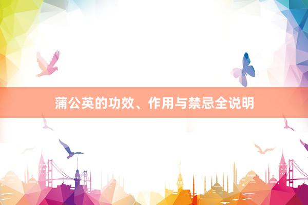 蒲公英的功效、作用与禁忌全说明